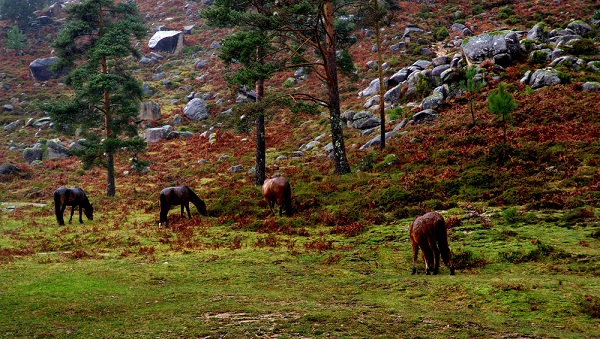 Pousada Fly Drive Noord Portugal 17